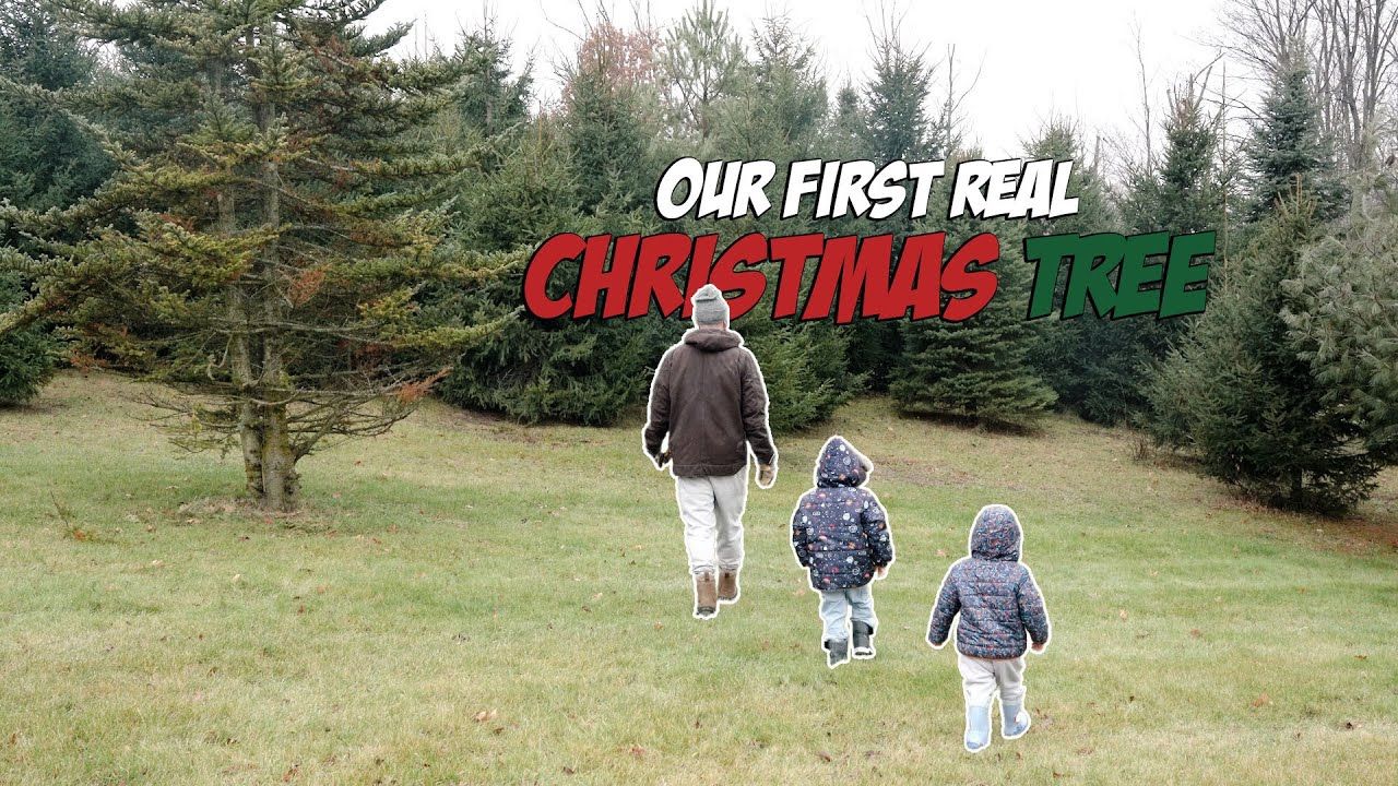 We cut down a Christmas Tree for the first time…