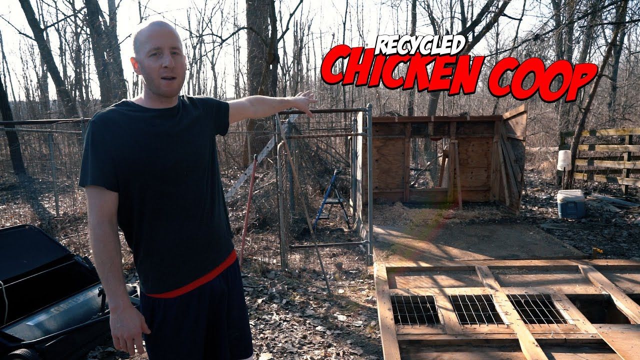 Building Our Homestead – Step 1: Chicken Coop